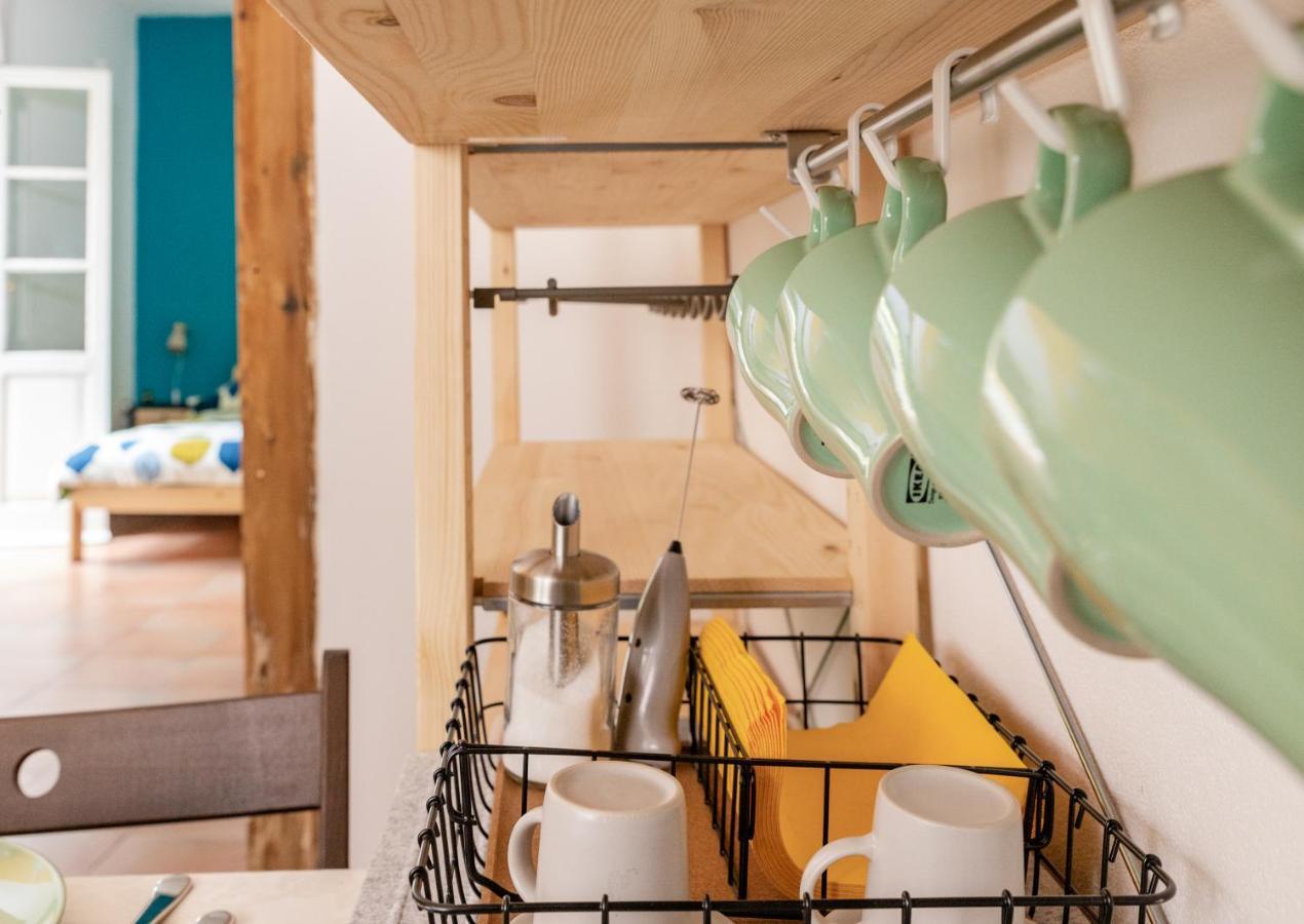 Marylou Gardenhouse Apartment Pisa Luaran gambar